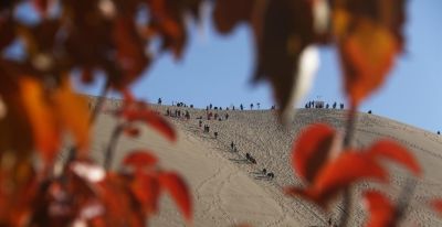 秋日水彩画 - 图画吧TUHUABA