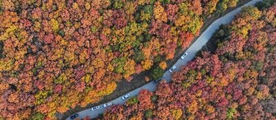 秋日水彩画 - 图画吧TUHUABA