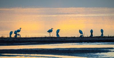 秋日水彩画 - 图画吧TUHUABA