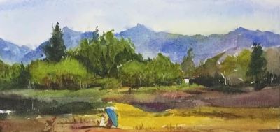 乡村新画卷 | 水彩作品《荷》《镜》《金色田野》 - 图画吧TUHUABA