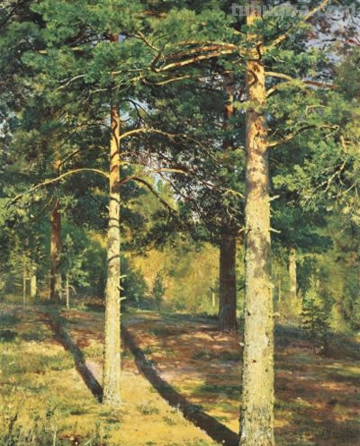 经典名画录 希什金 油画作品 - 图画吧TUHUABA