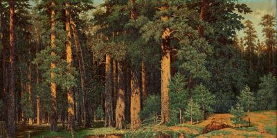 经典名画录 希什金 油画作品 - 图画吧TUHUABA