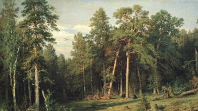 经典名画录 希什金 油画作品 - 图画吧TUHUABA