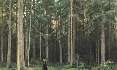 经典名画录 希什金 油画作品 - 图画吧TUHUABA