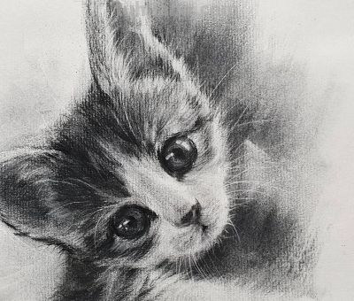 细腻温和的笔触，笔笔拿捏到位，韩国素描作品欣赏 - 图画吧TUHUABA