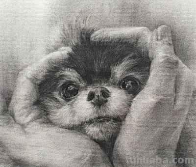 细腻温和的笔触，笔笔拿捏到位，韩国素描作品欣赏 - 图画吧TUHUABA