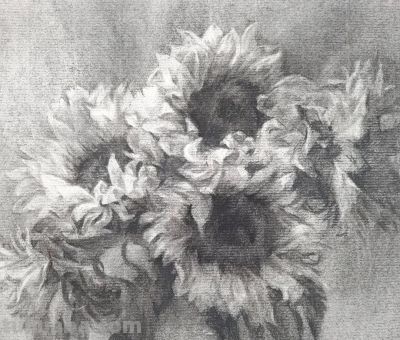 细腻温和的笔触，笔笔拿捏到位，韩国素描作品欣赏 - 图画吧TUHUABA