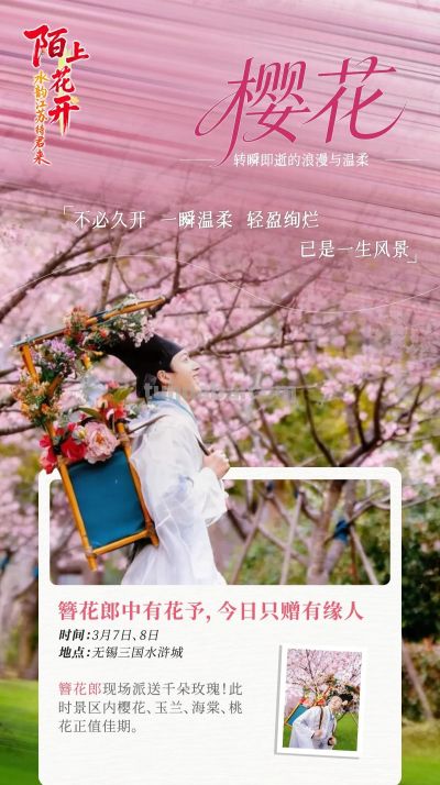 陌上花开｜十三场“花语”，遇见繁花似锦的自己 - 图画吧TUHUABA