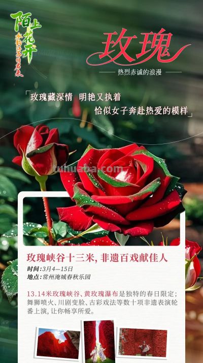 陌上花开｜十三场“花语”，遇见繁花似锦的自己 - 图画吧TUHUABA