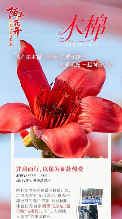 陌上花开｜十三场“花语”，遇见繁花似锦的自己 - 图画吧TUHUABA