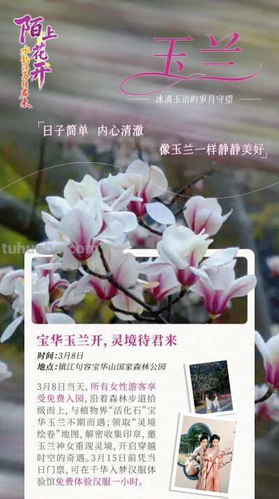 陌上花开｜十三场“花语”，遇见繁花似锦的自己 - 图画吧TUHUABA