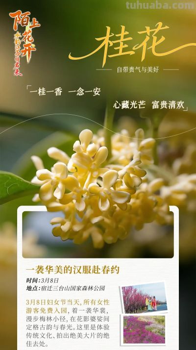 陌上花开｜十三场“花语”，遇见繁花似锦的自己 - 图画吧TUHUABA