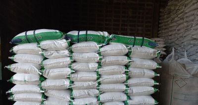 发财树施肥难题，最佳肥料揭秘，绿植茁壮有秘籍！ - 图画吧TUHUABA