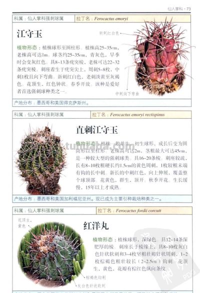 《多肉植物》03 - 图画吧TUHUABA