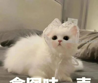 简单头像丨极简笔画 - 图画吧TUHUABA