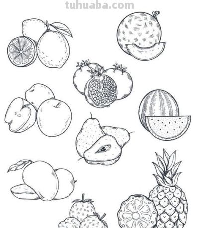 48张有颜色简笔画资料，给家里孩子画画收藏！有用 - 图画吧TUHUABA