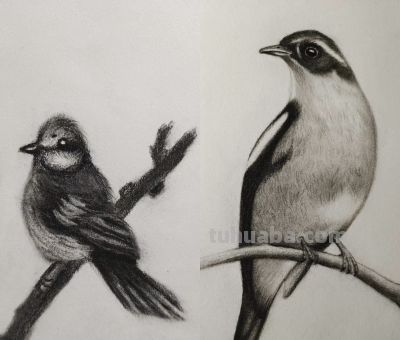 50+学素描，坚持热爱，进步肉眼可见 - 今日头条