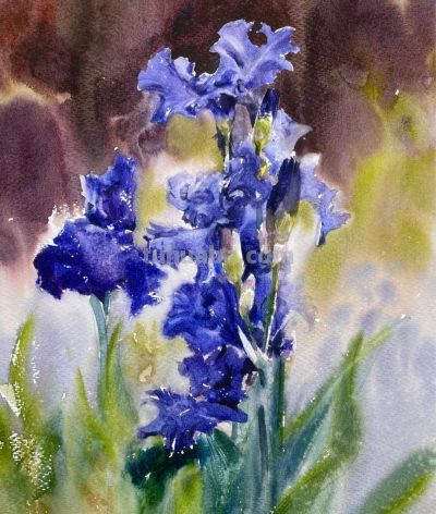 国内水彩大师笔下四季光影，极致浪漫绝美，张张触动人心！附教程 - 图画吧TUHUABA