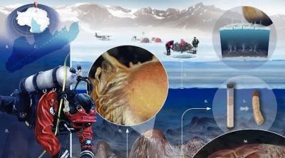 第十三届 ILLUSTRACIENCIA 西班牙国际科学与自然插画奖 - 今日头条 第十三届 ILLUSTRACIENCIA 西班牙国际科学与自然插画奖 - 图画吧TUHUABA