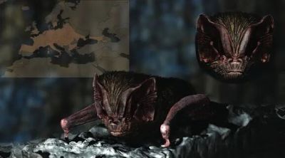 第十三届 ILLUSTRACIENCIA 西班牙国际科学与自然插画奖 - 今日头条 第十三届 ILLUSTRACIENCIA 西班牙国际科学与自然插画奖 - 图画吧TUHUABA