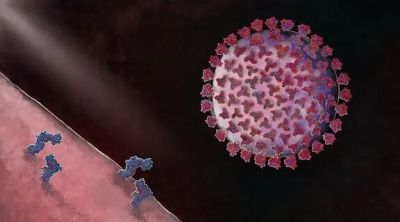 第十三届 ILLUSTRACIENCIA 西班牙国际科学与自然插画奖 - 今日头条 第十三届 ILLUSTRACIENCIA 西班牙国际科学与自然插画奖 - 图画吧TUHUABA