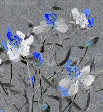 绸缎一样的光泽，刺绣一样的笔触，这静物花卉太迷人啦！ - 图画吧TUHUABA