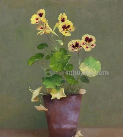静物花卉油画，英国当代画家Henrietta Abel Smith - 图画吧TUHUABA