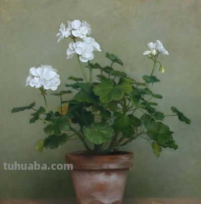 静物花卉油画，英国当代画家Henrietta Abel Smith - 图画吧TUHUABA