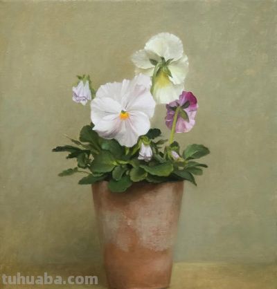 静物花卉油画，英国当代画家Henrietta Abel Smith - 图画吧TUHUABA