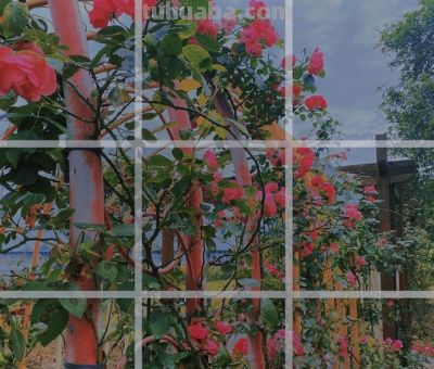 ​摄影教程｜摄影构图的核心技巧是这些，2000字讲明白（文末福利 - 图画吧TUHUABA