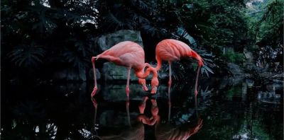 ​摄影教程｜摄影构图的核心技巧是这些，2000字讲明白（文末福利 - 图画吧TUHUABA