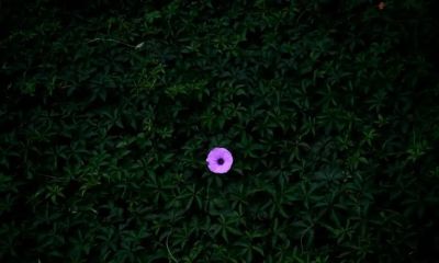 ​摄影教程｜摄影构图的核心技巧是这些，2000字讲明白（文末福利 - 图画吧TUHUABA