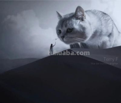 ​摄影教程｜摄影构图的核心技巧是这些，2000字讲明白（文末福利 - 图画吧TUHUABA