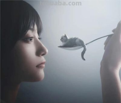 ​摄影教程｜摄影构图的核心技巧是这些，2000字讲明白（文末福利 - 图画吧TUHUABA