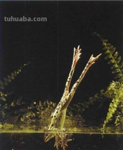 ​摄影教程｜摄影构图的核心技巧是这些，2000字讲明白（文末福利 - 图画吧TUHUABA