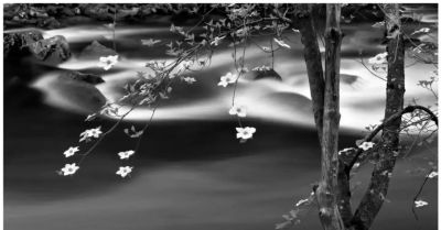 ​摄影教程｜摄影构图的核心技巧是这些，2000字讲明白（文末福利 - 图画吧TUHUABA