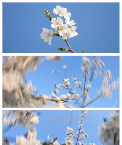 摄影邪修 | 看似失误却能拍出精彩画面的几个技巧 - 图画吧TUHUABA