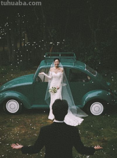 2026厦门婚纱摄影推荐|台北莎罗登顶,全景点+高性价比闭眼冲 - 今日头条 2026厦门婚纱摄影推荐|台北莎罗登顶,全景点+高性价比闭眼冲 - 图画吧TUHUABA