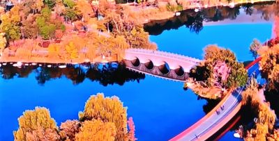 花卉有花语 花语抵人心 - 图画吧TUHUABA