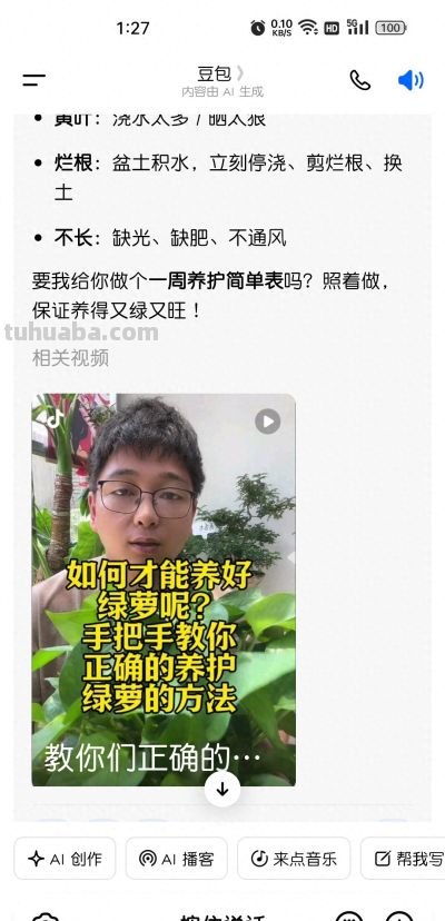 绿萝疯长 - 今日头条