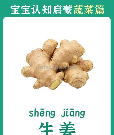 儿童认知启蒙卡：蔬菜篇 - 图画吧TUHUABA