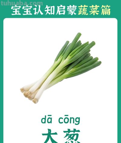 儿童认知启蒙卡：蔬菜篇 - 图画吧TUHUABA