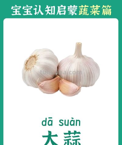 儿童认知启蒙卡：蔬菜篇 - 图画吧TUHUABA