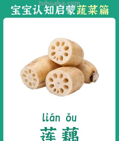 儿童认知启蒙卡：蔬菜篇 - 图画吧TUHUABA