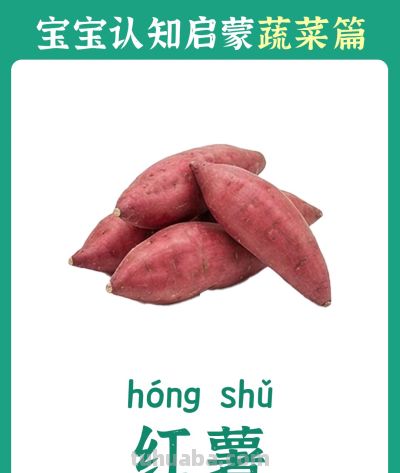 儿童认知启蒙卡：蔬菜篇 - 图画吧TUHUABA