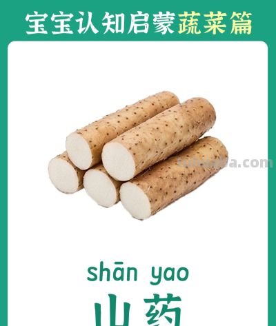 儿童认知启蒙卡：蔬菜篇 - 图画吧TUHUABA