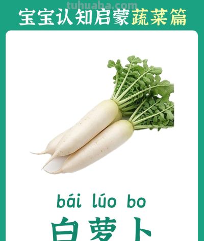 儿童认知启蒙卡：蔬菜篇 - 图画吧TUHUABA