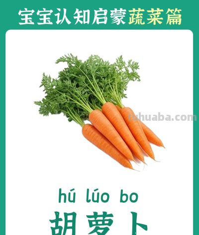 儿童认知启蒙卡：蔬菜篇 - 图画吧TUHUABA