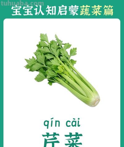 儿童认知启蒙卡：蔬菜篇 - 图画吧TUHUABA