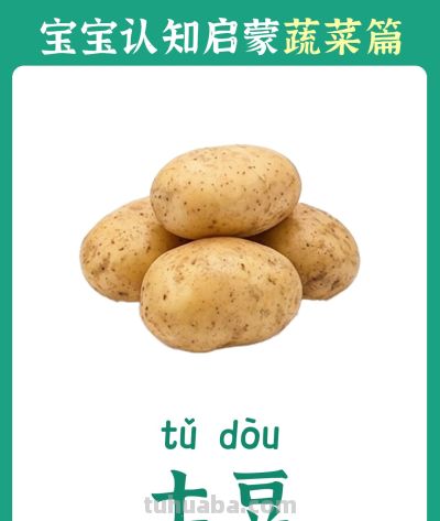 儿童认知启蒙卡：蔬菜篇 - 图画吧TUHUABA